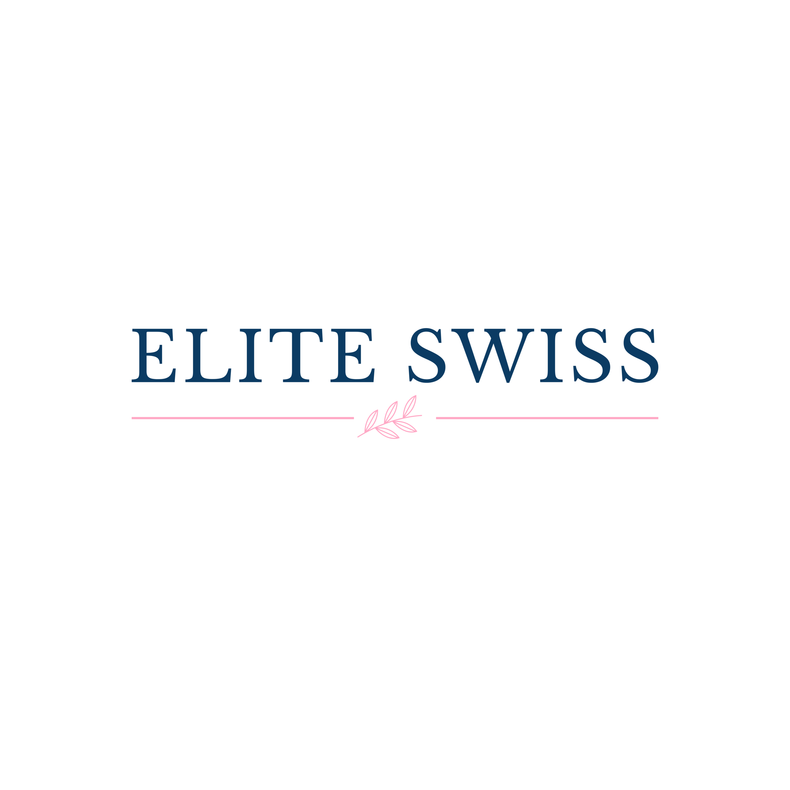 Elite Swiss LLC